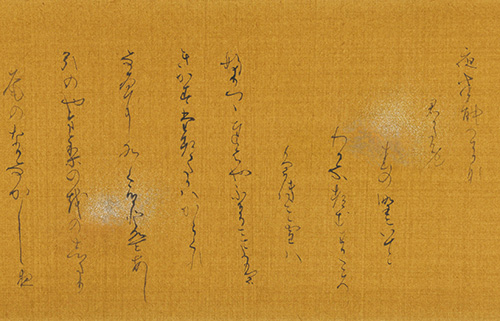 八重さくら
